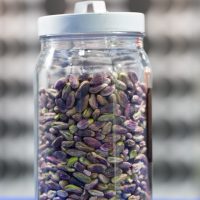 SIGEP2025_ANTARTICO_L1260384